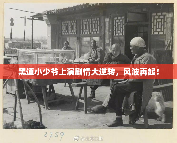 黑道小少爷上演剧情大逆转，风波再起！