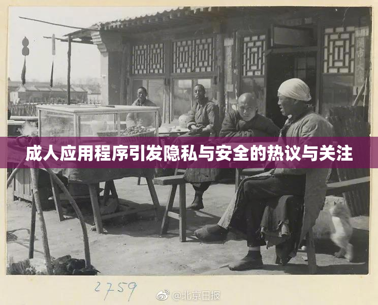 成人应用程序引发隐私与安全的热议与关注