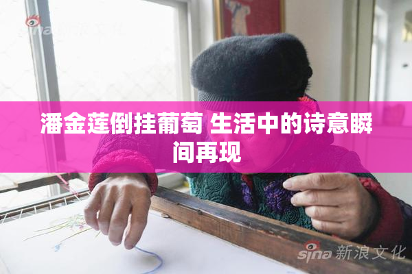 潘金莲倒挂葡萄 生活中的诗意瞬间再现