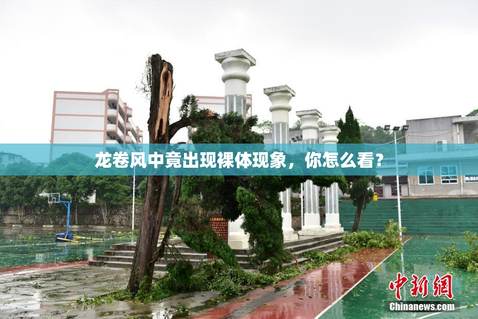 龙卷风中竟出现裸体现象，你怎么看？