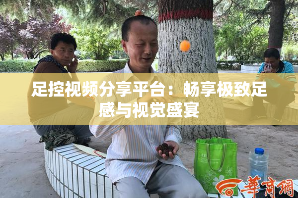 足控视频分享平台：畅享极致足感与视觉盛宴