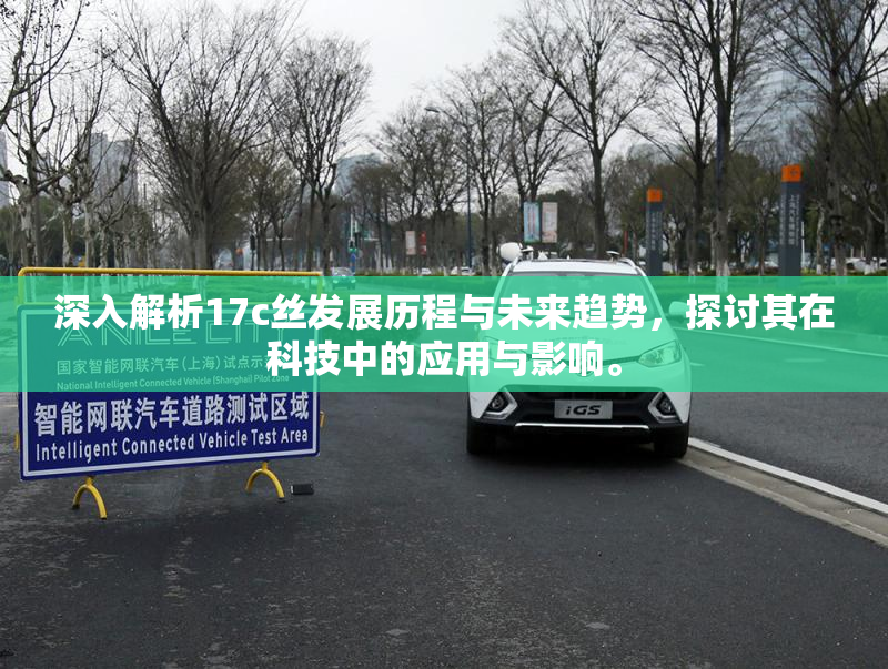 深入解析17c丝发展历程与未来趋势，探讨其在科技中的应用与影响。