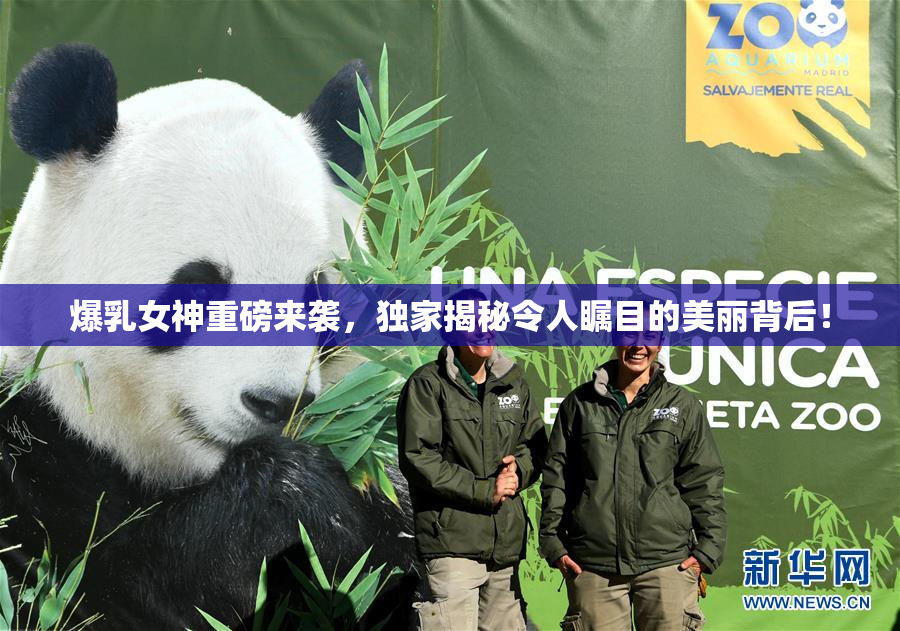爆乳女神重磅来袭，独家揭秘令人瞩目的美丽背后！