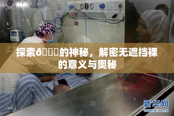探索🔞的神秘，解密无遮挡裸的意义与奥秘