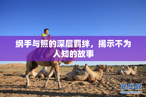 纲手与照的深层羁绊，揭示不为人知的故事