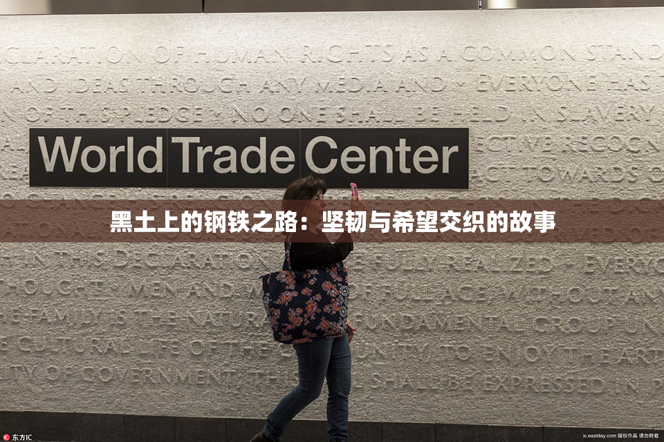 黑土上的钢铁之路：坚韧与希望交织的故事