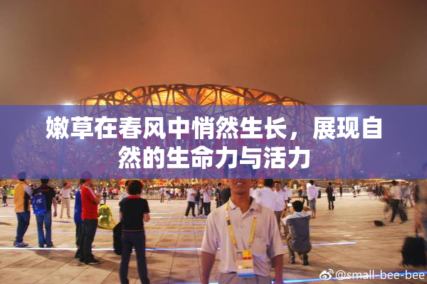 嫩草在春风中悄然生长，展现自然的生命力与活力