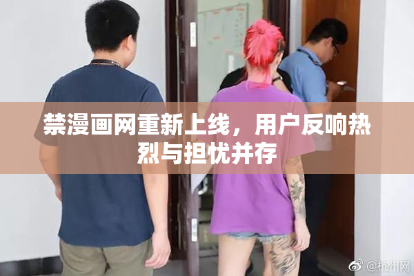 禁漫画网重新上线，用户反响热烈与担忧并存