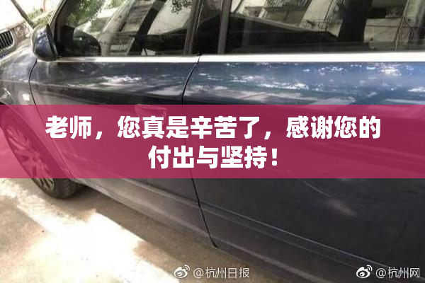 老师，您真是辛苦了，感谢您的付出与坚持！