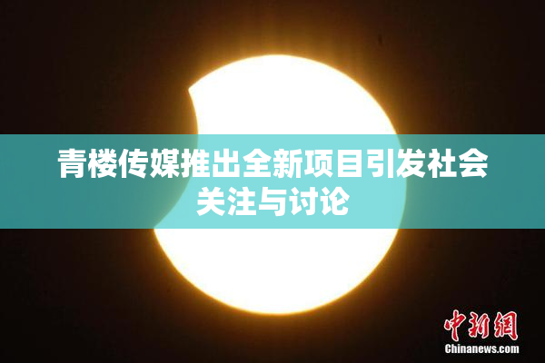 青楼传媒推出全新项目引发社会关注与讨论