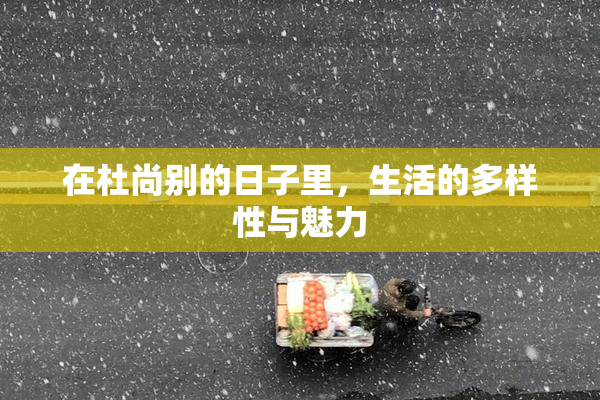 在杜尚别的日子里，生活的多样性与魅力