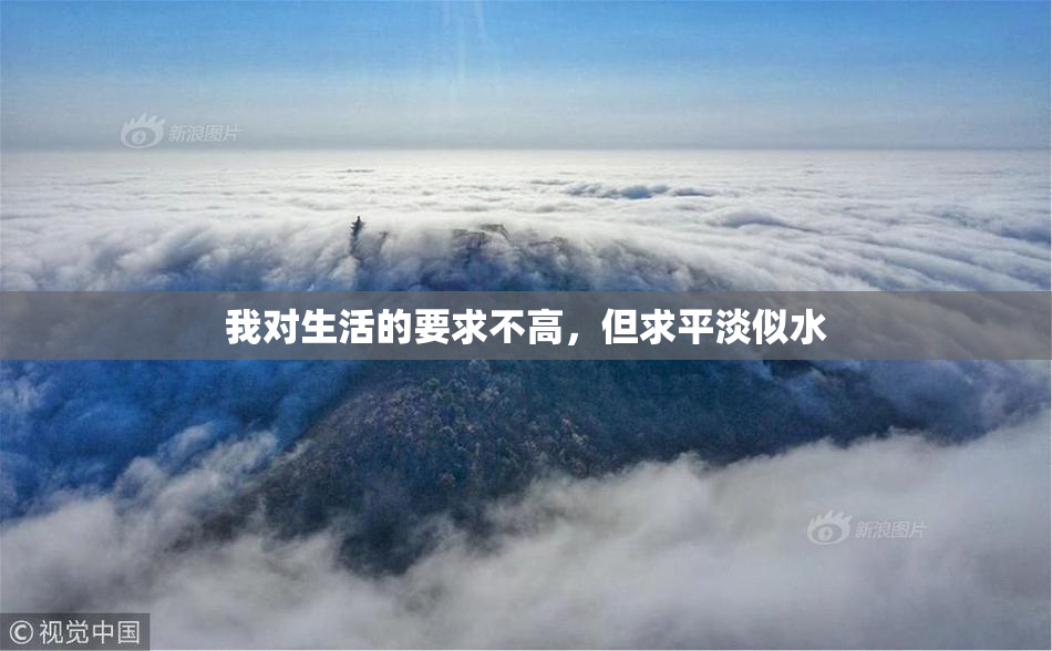 我对生活的要求不高，但求平淡似水
