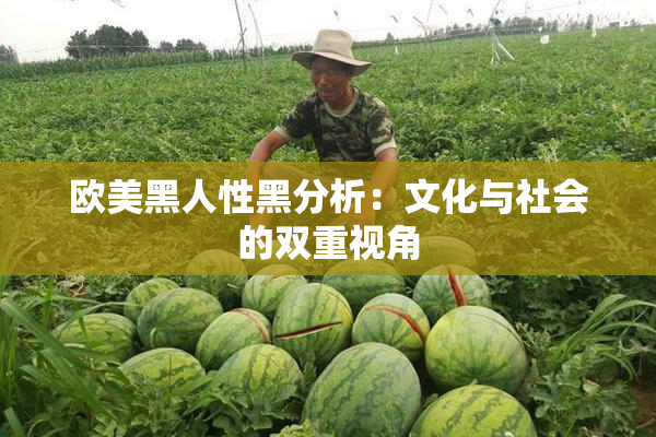 欧美黑人性黑分析：文化与社会的双重视角