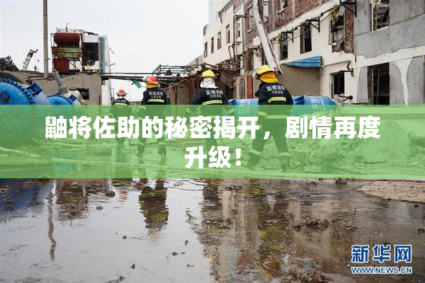 鼬将佐助的秘密揭开，剧情再度升级！
