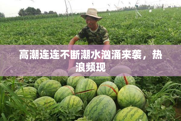 高潮连连不断潮水汹涌来袭，热浪频现