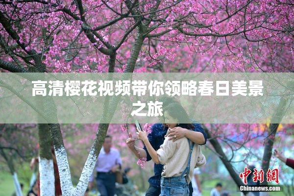 高清樱花视频带你领略春日美景之旅