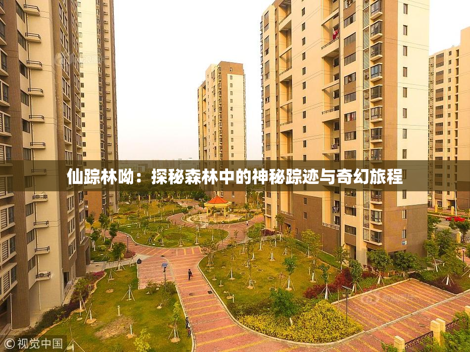 仙踪林呦：探秘森林中的神秘踪迹与奇幻旅程