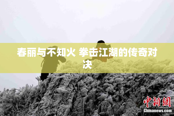 春丽与不知火 拳击江湖的传奇对决
