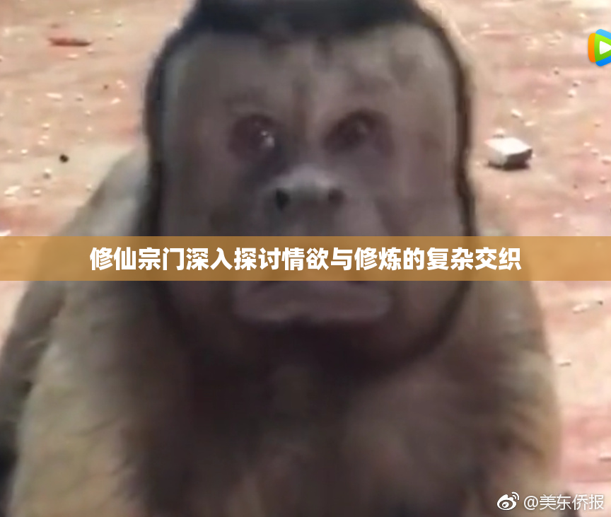 修仙宗门深入探讨情欲与修炼的复杂交织