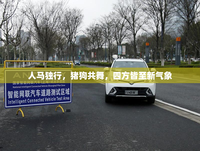 人马独行，猪狗共舞，四方皆至新气象