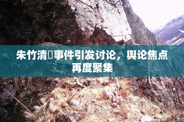 朱竹清婬事件引发讨论，舆论焦点再度聚集