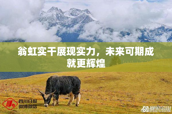 翁虹实干展现实力，未来可期成就更辉煌
