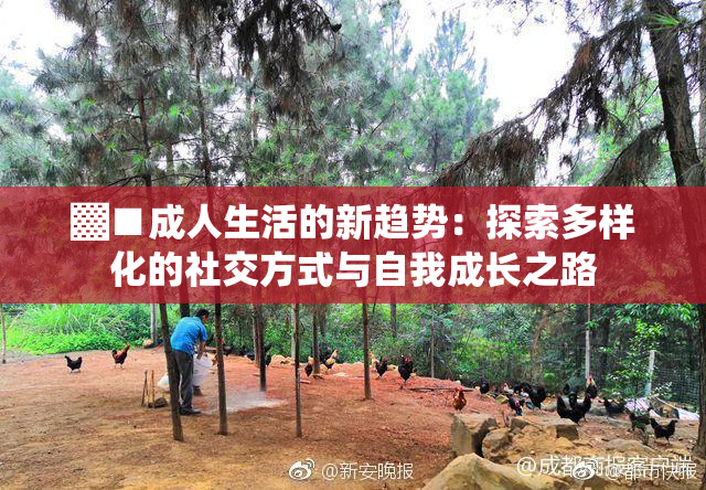 ▓■成人生活的新趋势：探索多样化的社交方式与自我成长之路