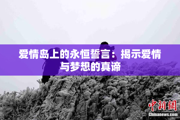 爱情岛上的永恒誓言：揭示爱情与梦想的真谛