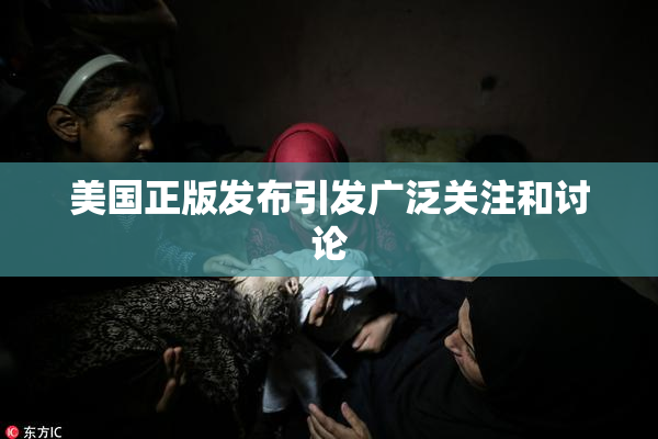 美国正版发布引发广泛关注和讨论