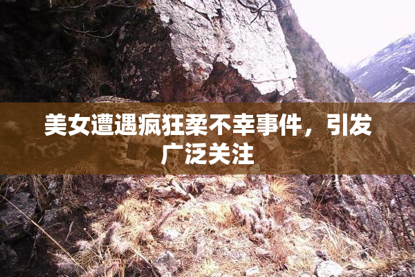 美女遭遇疯狂柔不幸事件，引发广泛关注