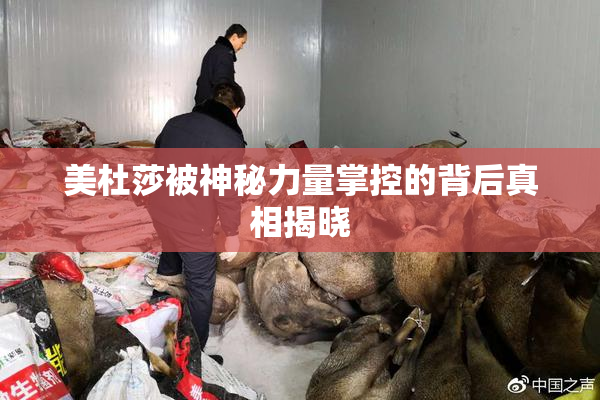 美杜莎被神秘力量掌控的背后真相揭晓