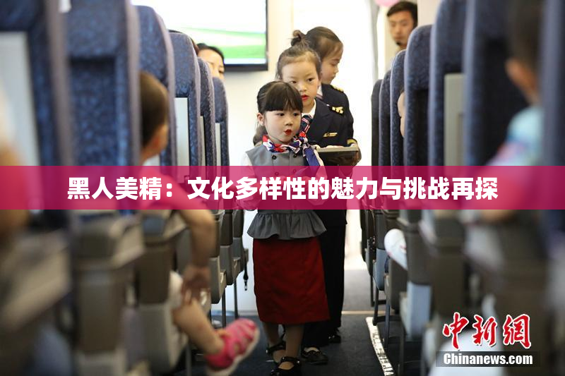 黑人美精：文化多样性的魅力与挑战再探