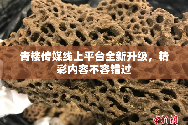 青楼传媒线上平台全新升级，精彩内容不容错过