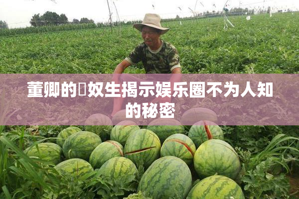 董卿的婬奴生揭示娱乐圈不为人知的秘密