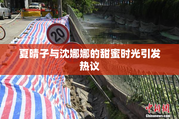 夏晴子与沈娜娜的甜蜜时光引发热议
