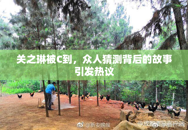 关之琳被C到，众人猜测背后的故事引发热议