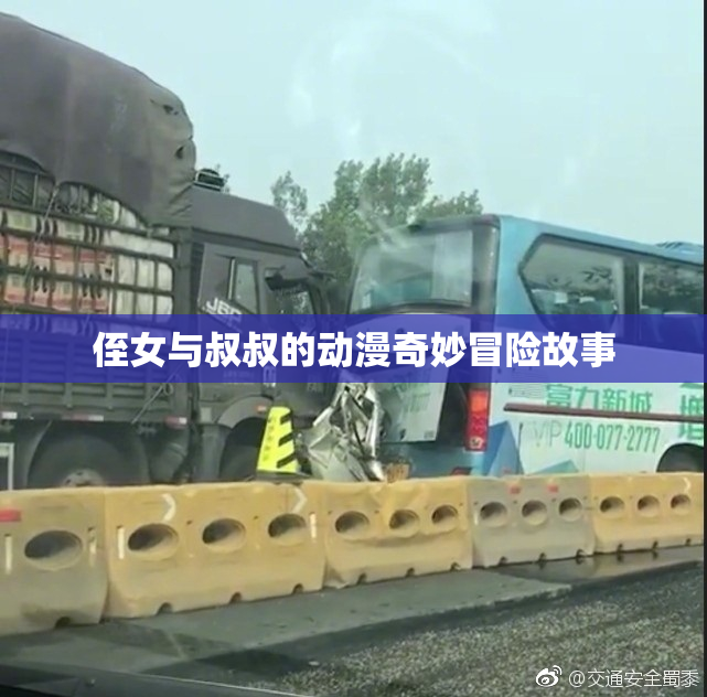 侄女与叔叔的动漫奇妙冒险故事
