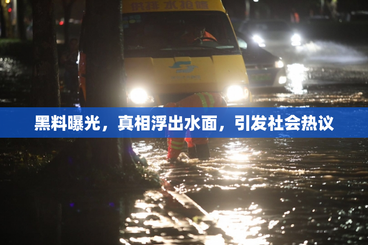 黑料曝光，真相浮出水面，引发社会热议
