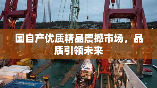 国自产优质精品震撼市场，品质引领未来