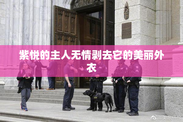 紫悦的主人无情剥去它的美丽外衣