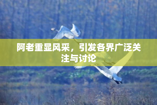 阿老重显风采，引发各界广泛关注与讨论