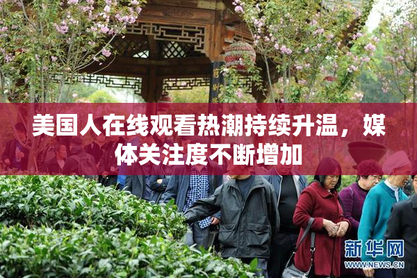 美国人在线观看热潮持续升温，媒体关注度不断增加