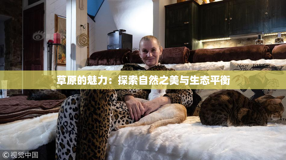 草原的魅力：探索自然之美与生态平衡
