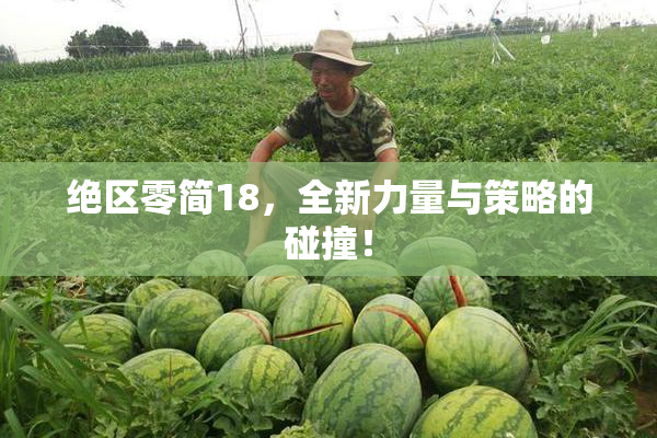 绝区零简18，全新力量与策略的碰撞！