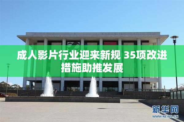 成人影片行业迎来新规 35项改进措施助推发展