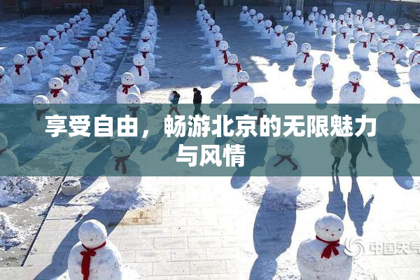 享受自由，畅游北京的无限魅力与风情