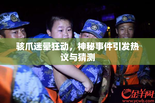 骇爪迷晕狂动，神秘事件引发热议与猜测