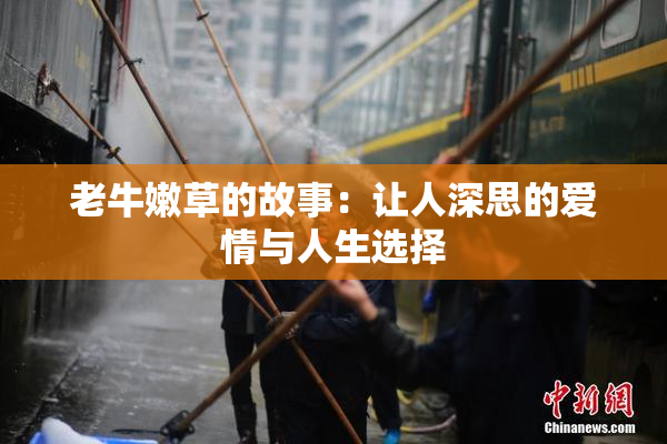 老牛嫩草的故事：让人深思的爱情与人生选择