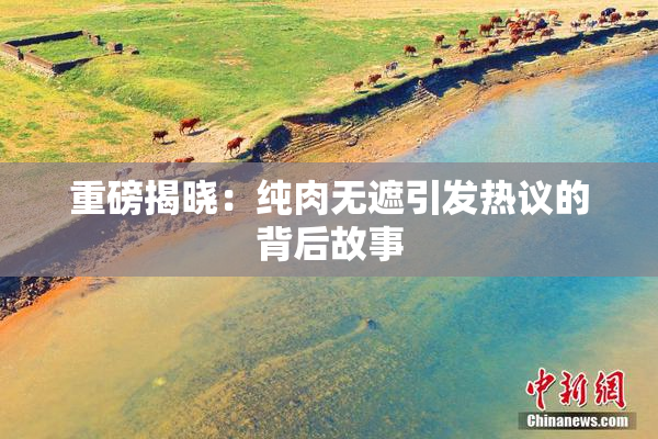 重磅揭晓：纯肉无遮引发热议的背后故事