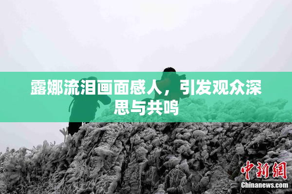 露娜流泪画面感人，引发观众深思与共鸣